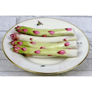 ASSIETTE_TROMPE-L_OEIL_ASPERGES-DIDIER_GARDILLOU-07