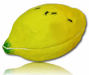 Boite en forme de CITRON ornée de FOURMIS - Trompe l'Oeil  en porcelaine de Didier Gardillou 