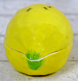 BOITE-CITRON_FOURMIS-Didier_GARDILLOU-6