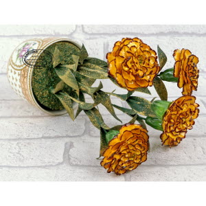 BOUQUET-OEILLETS_d_INDE-Didier_GARDILLOU-5