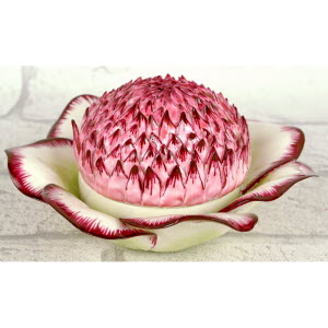 Botie-ANEMONE_ANCIENNE-DIDIER_GARDILLOU-5_20240327124231