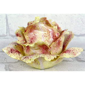 CHOUX_BLANC_MEISSEN-_2