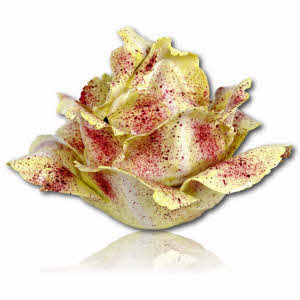 BOITE en forme de SALADE TREVISE en porcelaine de Didier GARDILLOU - Ep. CONTEMPORAINE