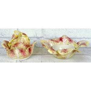 CHOUX_BLANC_MEISSEN-_4