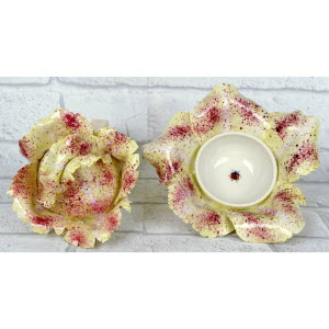 CHOUX_BLANC_MEISSEN-_5