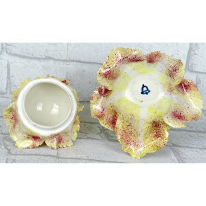 CHOUX_BLANC_MEISSEN-_6