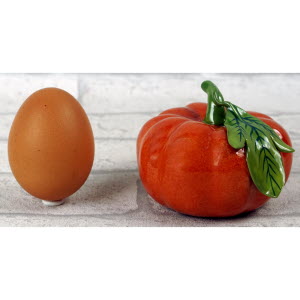 Didier_GARDILLOU-TOMATE-8_20260716221056