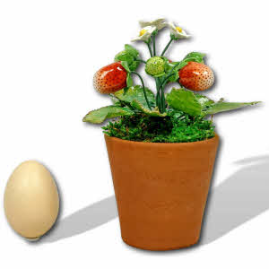 Fruits - FRAISIERS en porcelaine de Didier GARDILLOU - Ep. CONTEMPORAINE