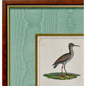 OISEAUX_de_BUFFON-2